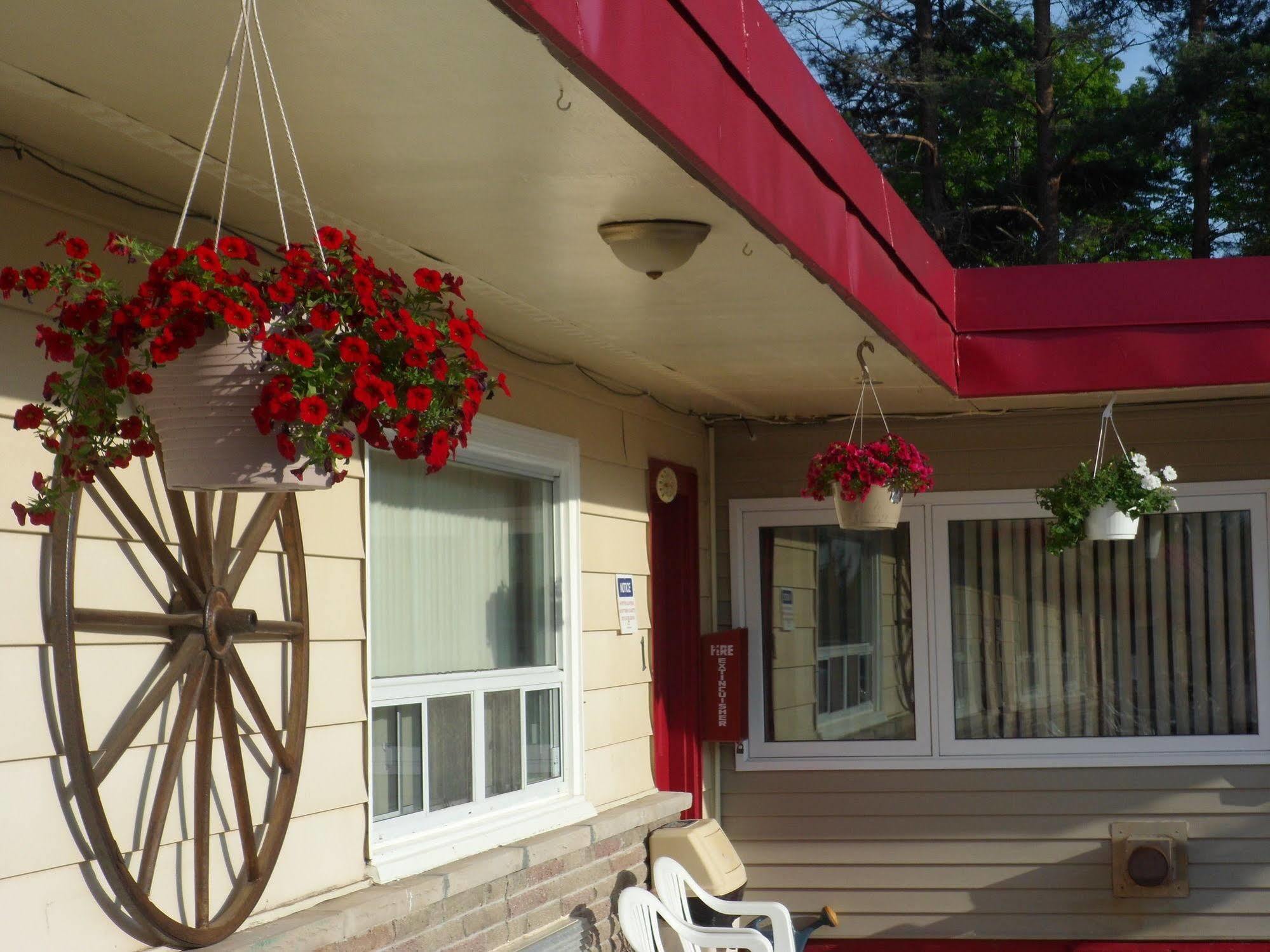 The Silver Birch Motel Ґодріч Екстер'єр фото